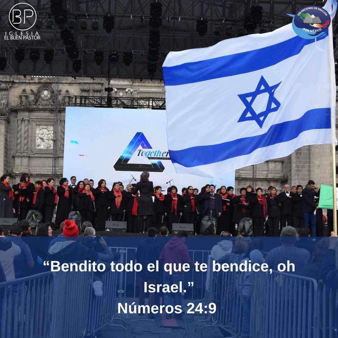 Descripción de la nueva imagen 1